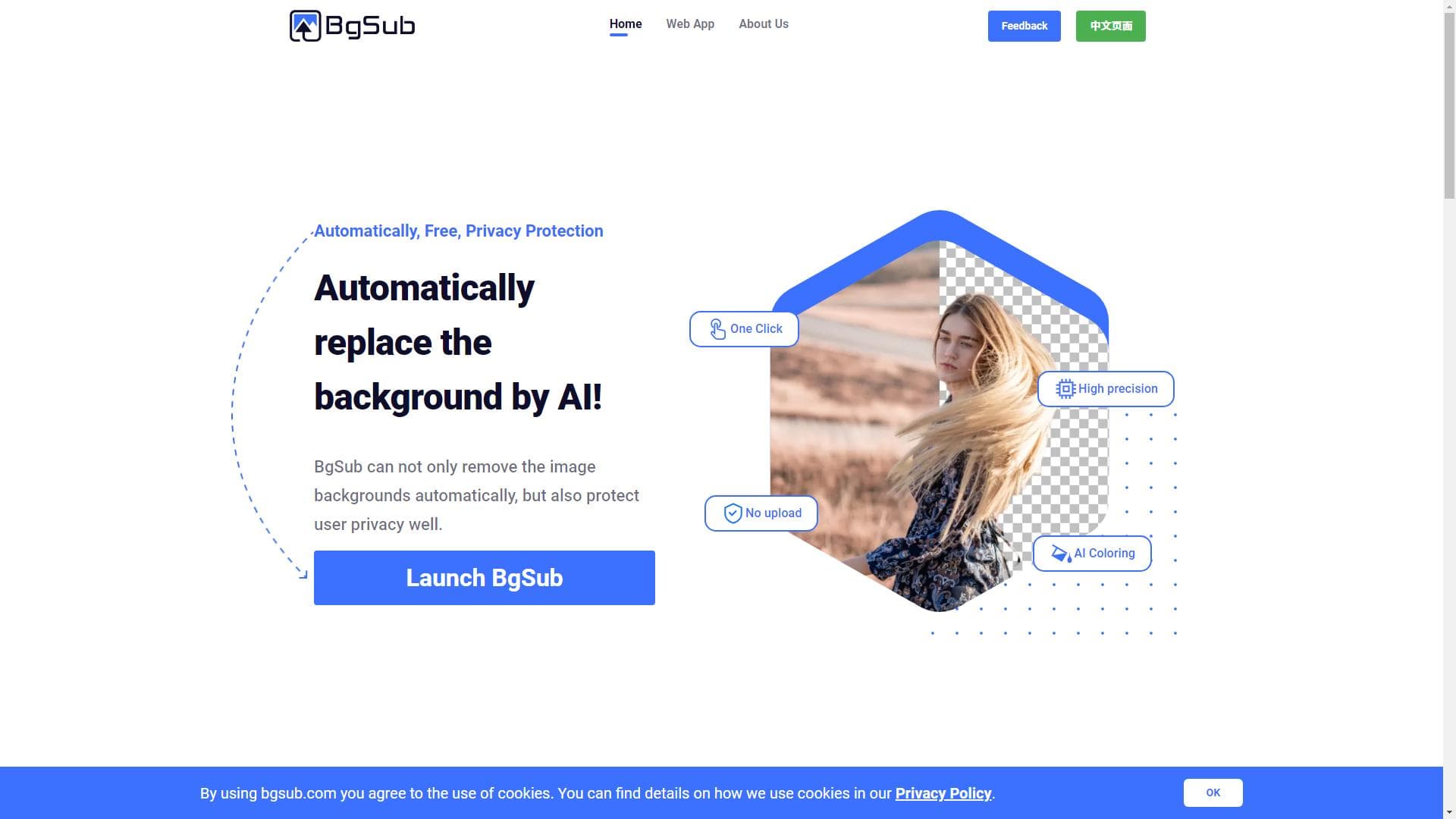 Remove or replace image background without upload image - BgSub