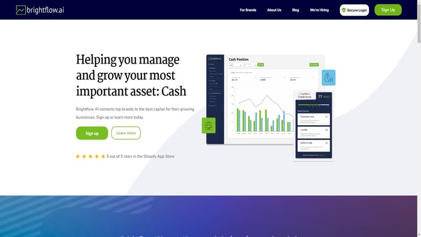 Brightflow AI - Brightflow AI 是一个财务智能平台，帮助企业做出数据支持的决策，掌控现金流并解锁资本。